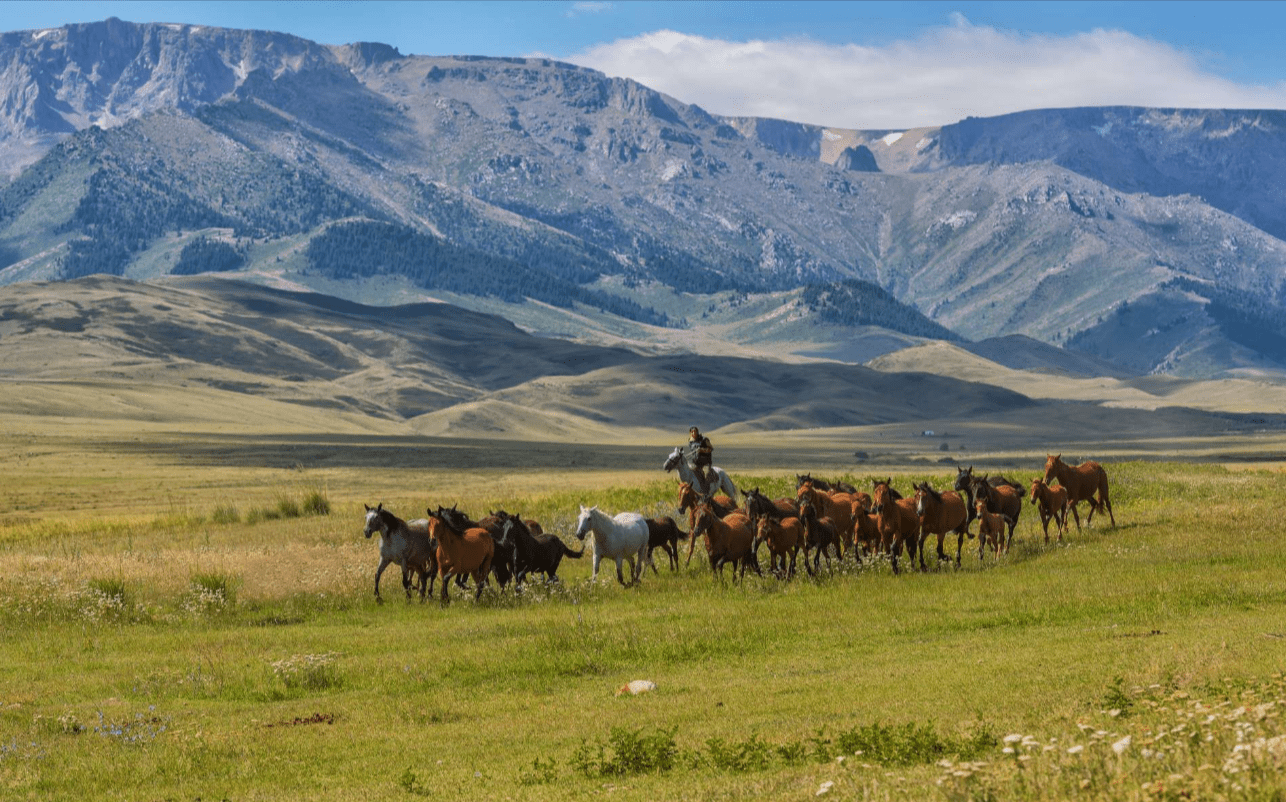 Trekking the Untamed Landscapes of Zhongar-Alatau National Park