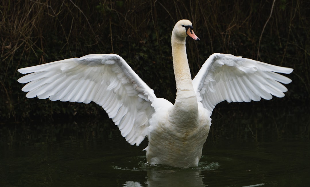 Unlocking the Meaning of 656 Angel Number