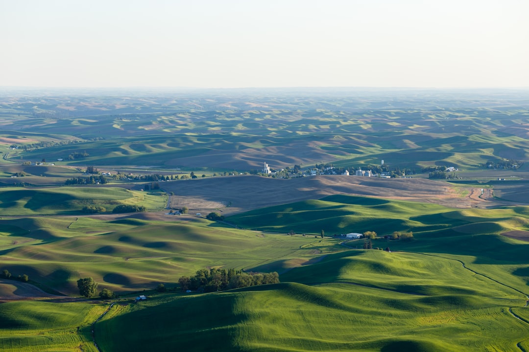 The Resilient El Campesino: Navigating Challenges in Agriculture