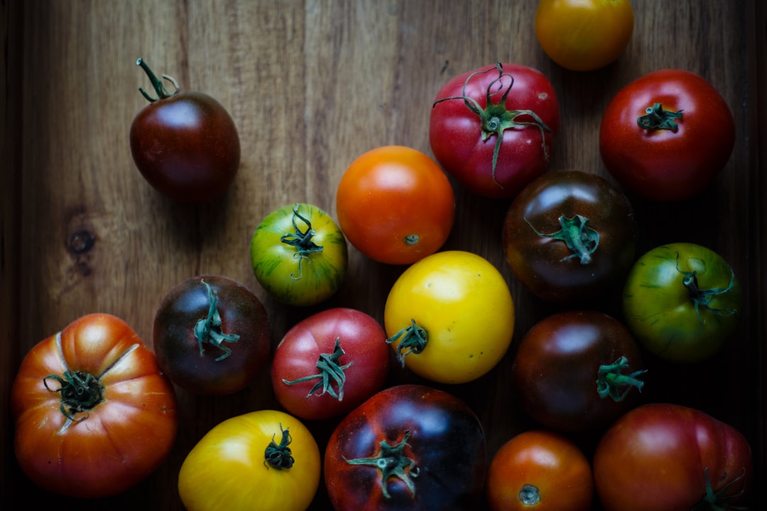 Pacojet: Revolutionizing Culinary Creativity