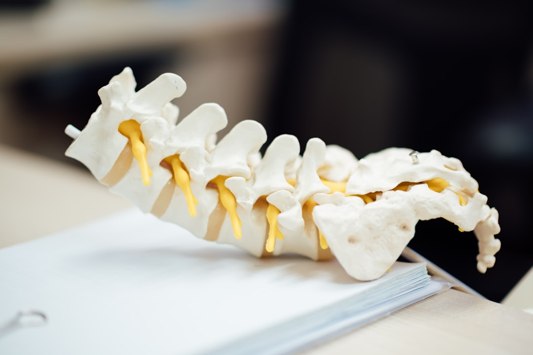 Toxins Released After Chiropractic Adjustment