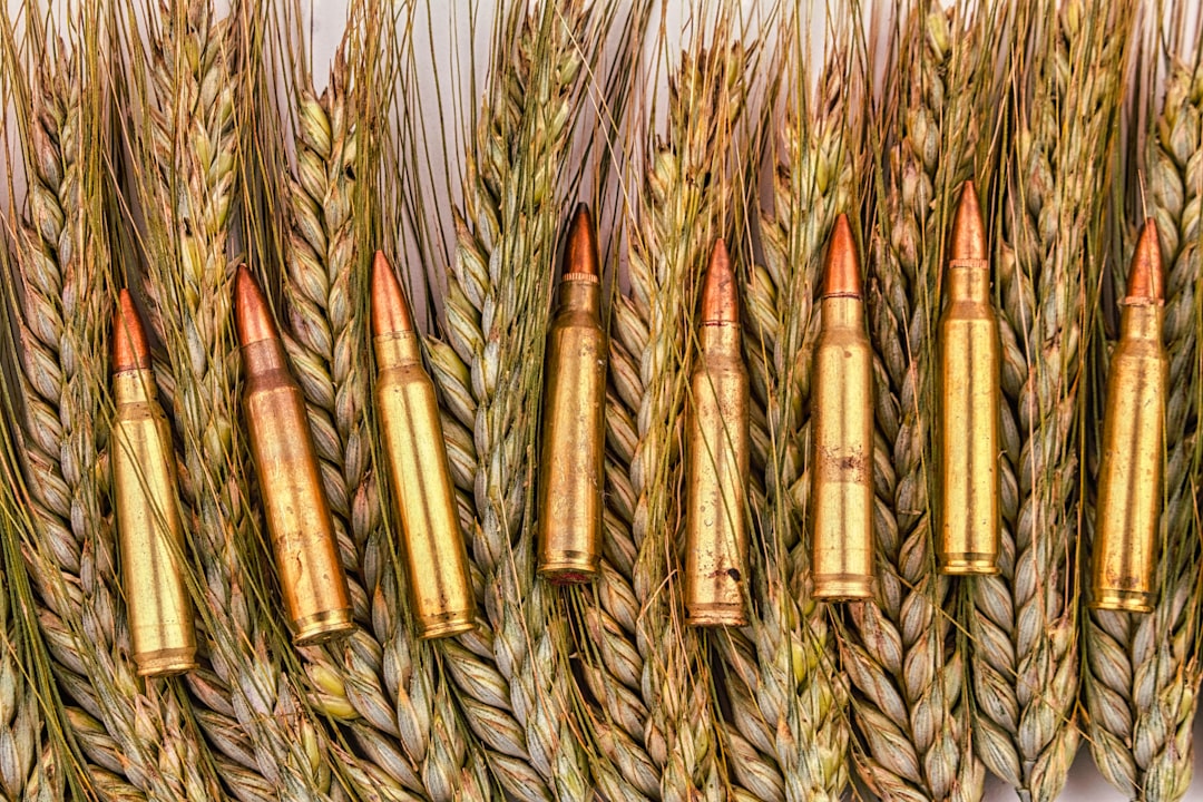 Finding 9mm Ammo: A Guide to Using AmmoSeek