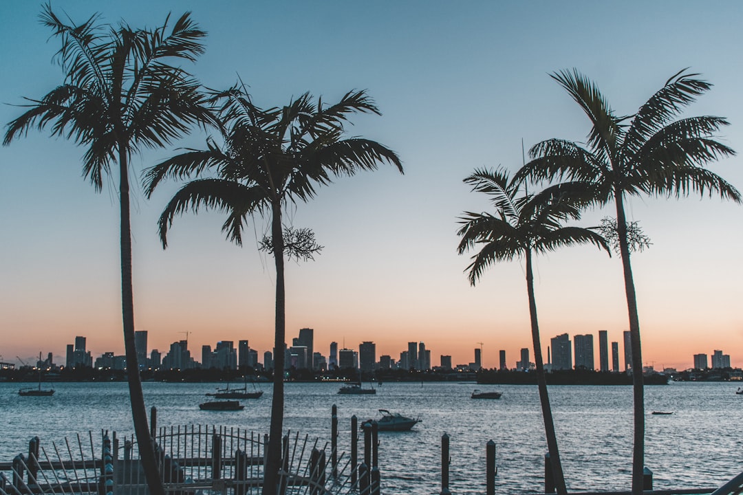 Job Opportunities in Miami: Finding Employment in the Magic City